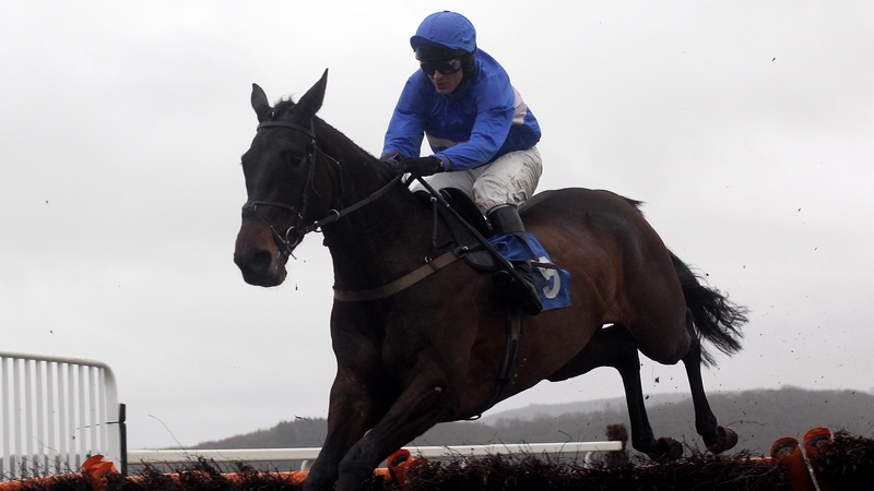 Cappa Bleu will not be present at Aintree this spring