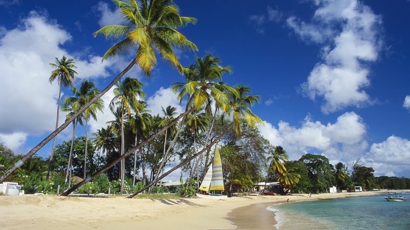 Tempted to catch some winter sun?