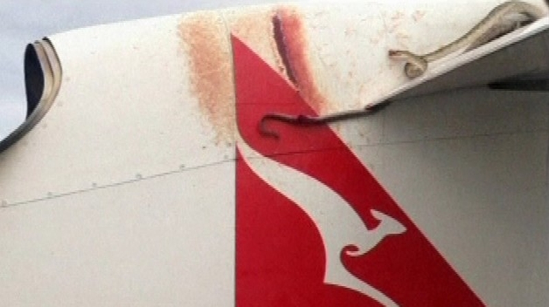 The snake was identified as a 3m-long non-poisonous Amethystine python