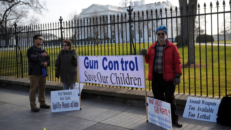 There is major debate in the US about gun control following the Sandy Hook shootings