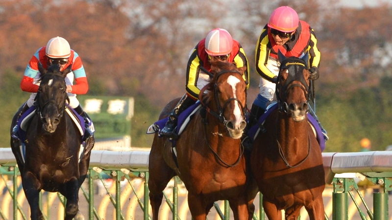 Orfevre (centre) will not contest the Dubai World Cup