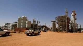 Seven foreign hostages are still alive after the Algerian military raid on the plant