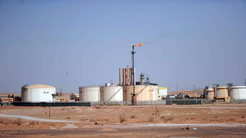 37 foreign workers died after Islamist rebels seized the plant last month