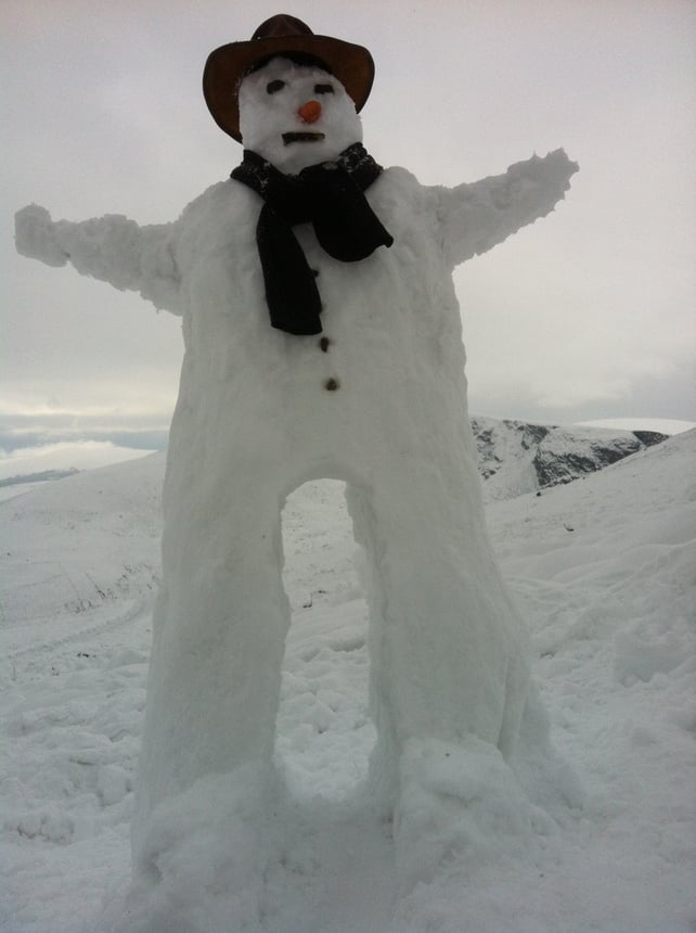 Snowman in the Sallygap (Picture: Michael Whelehan)