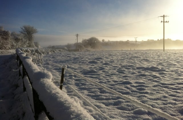 A snow-covered field in Lismire, Co Cork (Picture: Jonathan McCarthy)