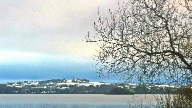 Deerpark Forest, Virginia, Co Cavan (Picture: Mary Patrice Smith)