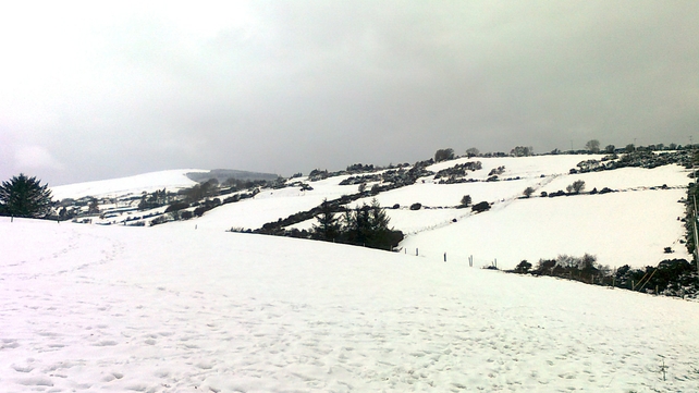 Snowy Glencullen in Co Dublin (Genevieve Plant)