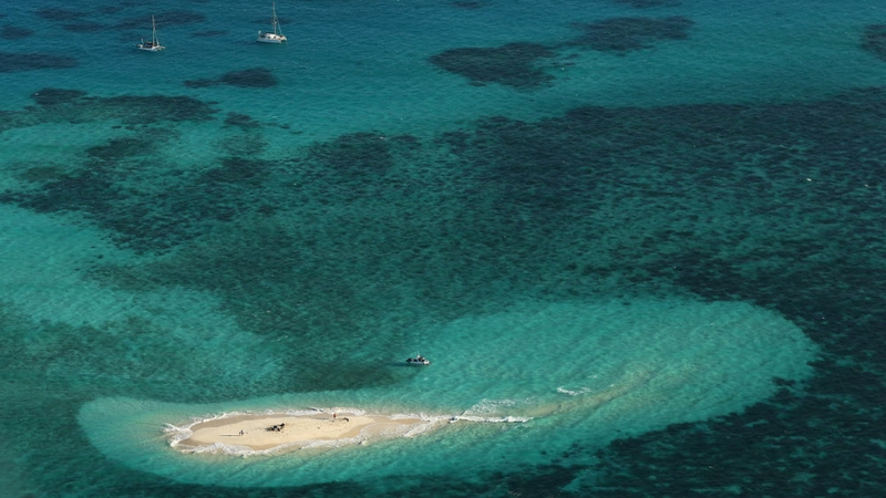 The reef is heralded as one of the seven natural wonders of the world