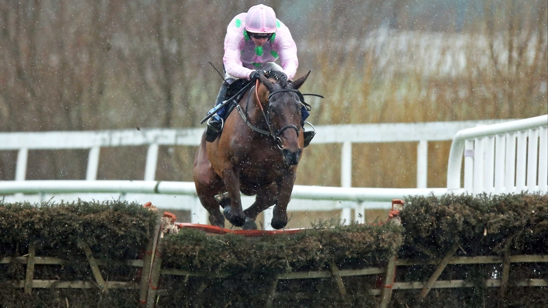 Pont Alexandre was sent off a hot favourite for the Neptune at the 2013 Cheltenham Festival