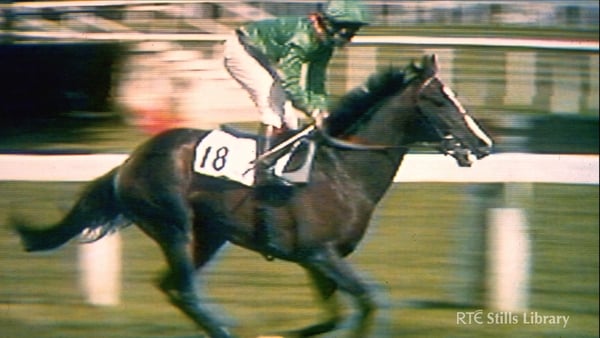 Shergar is kidnapped, 1983