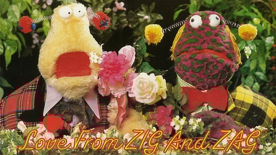 Zig and Zag on Valentine's Day