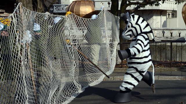 A zoo staff member dressed as a zebra performs in a drill to practice what to do in the event of an animal escape at the Tama zoo in a western suburb of Tokyo
