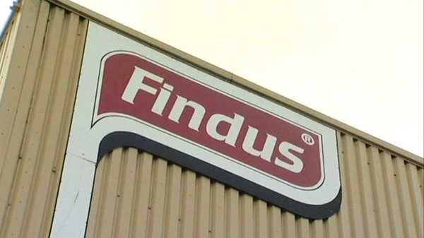 Tests in the UK found there was up to 100% horse meat in Findus beef lasagne products