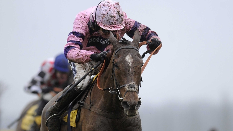 Silviniaco Conti is a best-price 6-1 for the Cheltenham Gold Cup