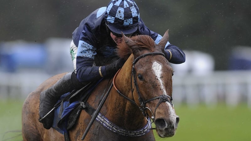 Melodic Rendezvous has lost just one of his four starts over hurdles