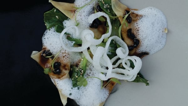 Pork and Wild Mushroom Wontons with Chinese Black