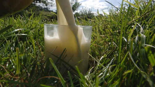 Balkan milk scare was triggered when laboratory tests confirmed higher-than-prescribed levels of aflatoxin