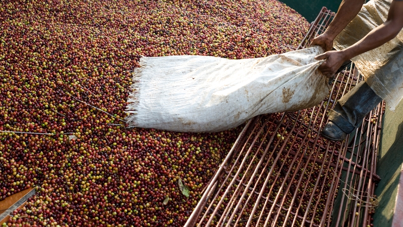 The merger of DE Master Blenders 1753 and Mondelez's coffee brands will create the second biggest coffee company in the world