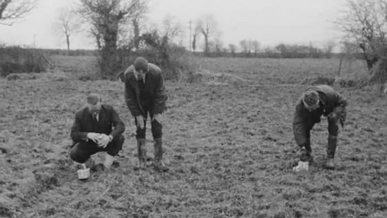 Searching for traces of UFO In Mullinahone