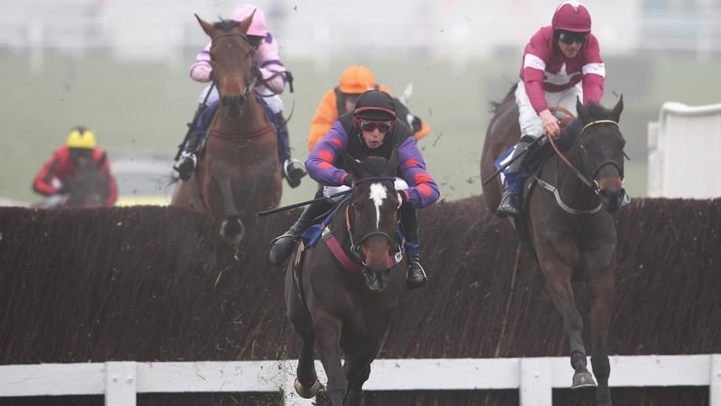 Champion Court (centre) in action at last year's Cheltenham Festival