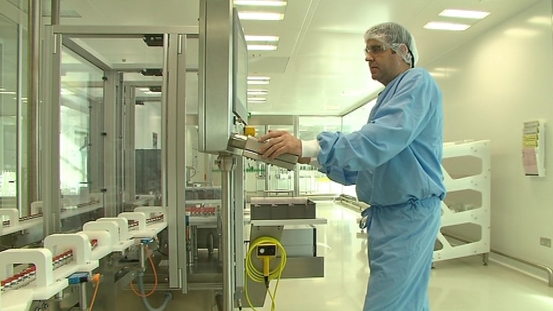 Nearly a quarter of respondents said they increased employment during the month