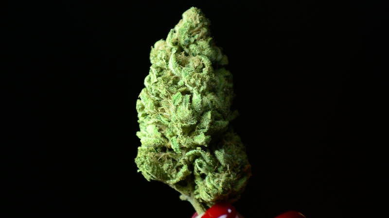 The woman claims FedEx delivered over 3kg of marijuana to her door