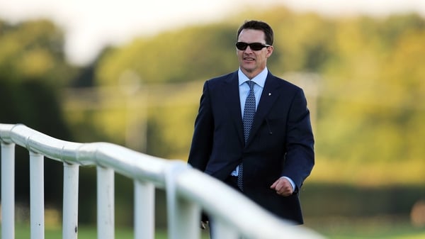 Aidan O'Brien's Giovanni Boldini was beaten on the line at Santa Anita