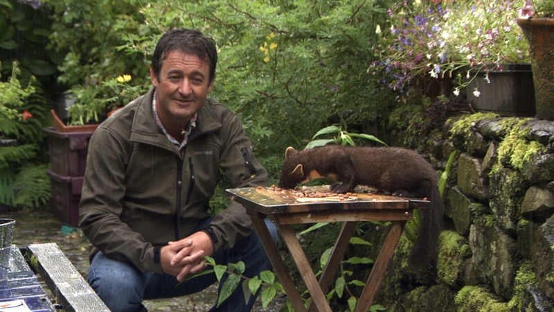 Colin Stafford-Johnson