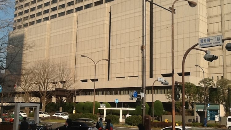 Dr Marianne Hamel challenged some of the autopsy findings