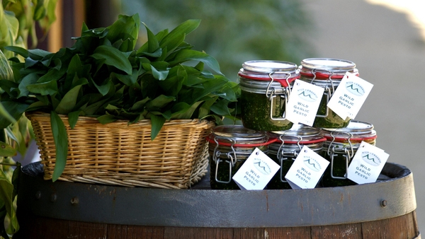 Wild garlic pesto