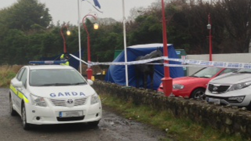 Peter Butterly was shot dead in a Co Meath pub car park in 2013