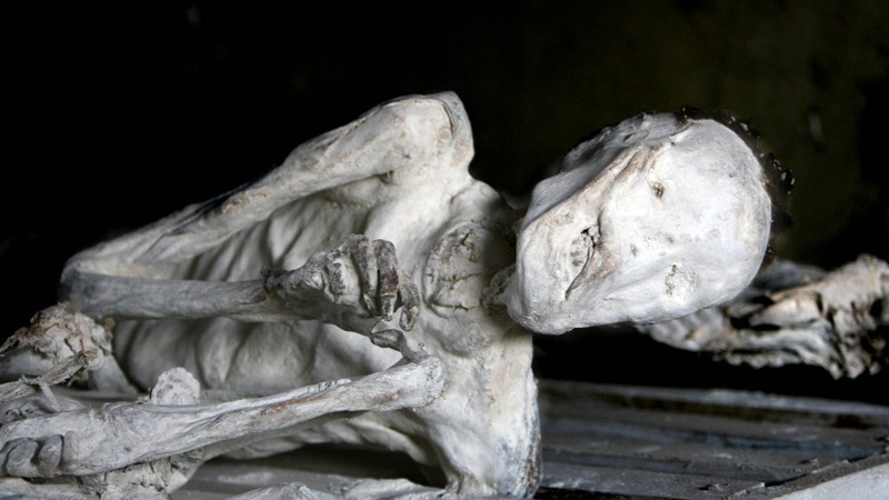 It was never called genocide, until it was too late