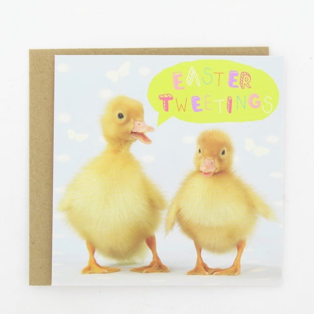 Easter Tweetings card pack, €6
