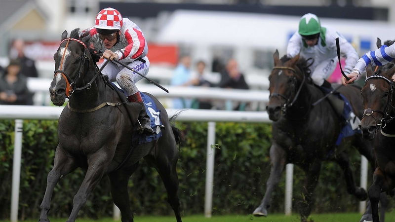 Sole Power will run in the Al Quoz Sprint