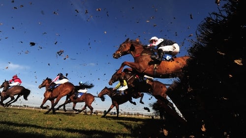 How do you get value on your bets at this year's Cheltenham Festival?