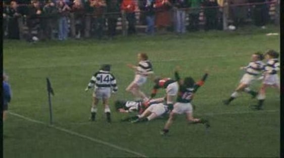 Leinster Senior Schools Cup Final 1973