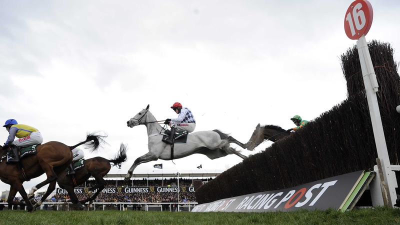 Simonsig has lost just one of his nine lifetime starts under rules