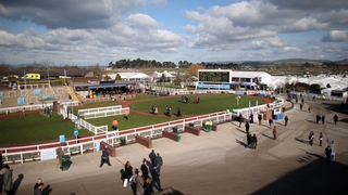 Another great day for Willie Mullins and Ruby Walsh