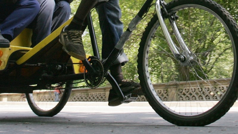 The amendment proposes to have 'non-motorised transport', including rickshaws, regulated by the National Transport Authority