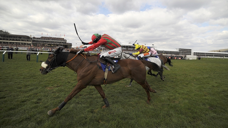 Benefficient suffered a serious leg injury in the Ryanair Chase at the Cheltenham Festival
