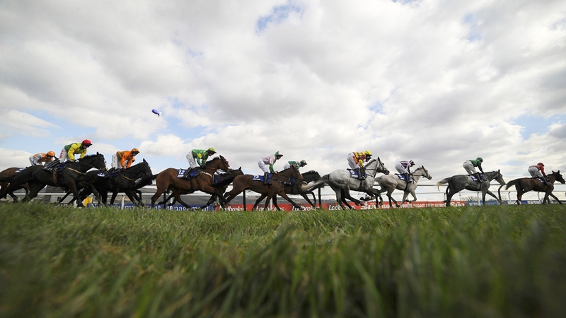 The BHA have apologised after they failed to pick up on a racist horse name