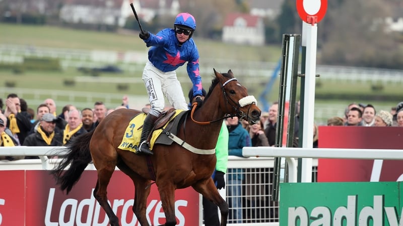 Joe Tizzard and Cue Card winning the 2013 Ryanair Chase