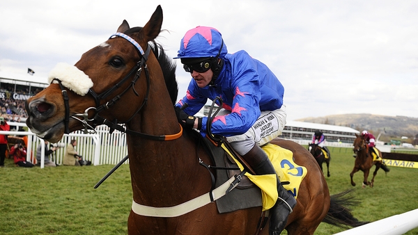 Cue Card has had many great days