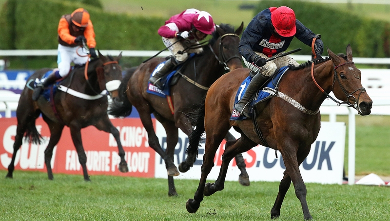 Former winner Long Run followed home stablemate Bobs Worth and Sir Des Champs in the Gold Cup earlier this month