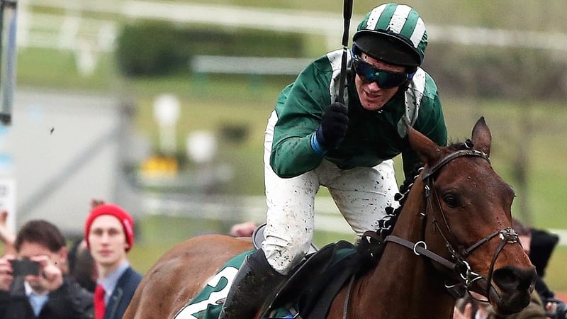 Salsify and Colman Sweeney taking the plaudits at Cheltenham earlier this year