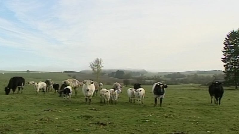 42,792 cows died in April