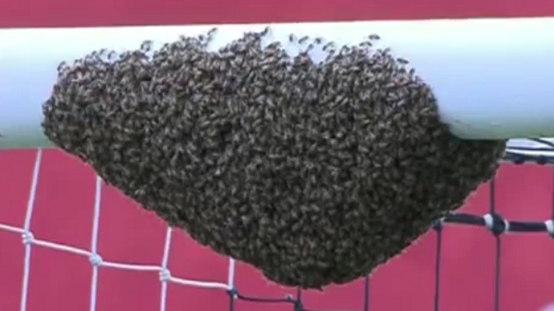 Officials at the Moisés Lucarelli stadium faced an unusual crossbar challenge on Saturday