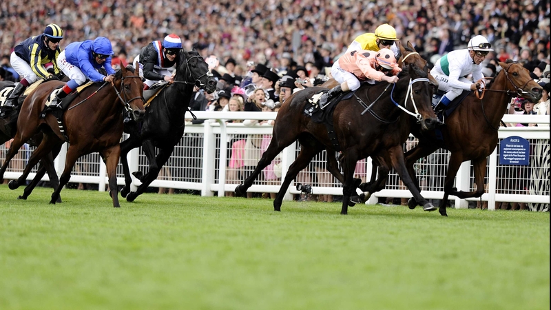 Moonlight Cloud (right) may be sent to Hong Kong