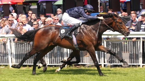 Joseph O'Brien rode a short-price double for his father at Leopardstown on Thursday evening