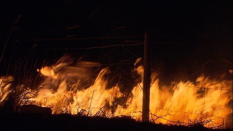 Easaontas faoi lorg comhshaoil tinte sléibhe